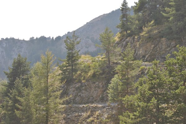 Von da sind wir gekommen