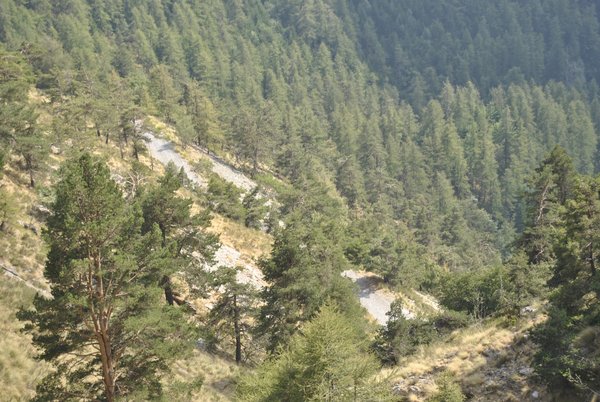 Blick zurück nach unten