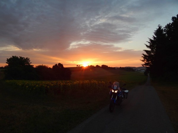 Sommermorgen.jpg