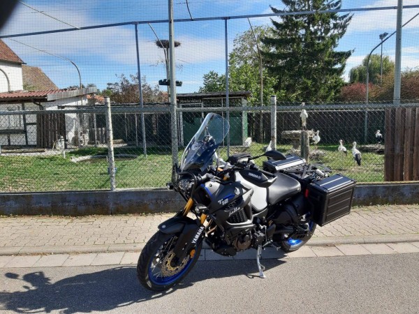 Strochenklinik in Bornheim bei Landau
