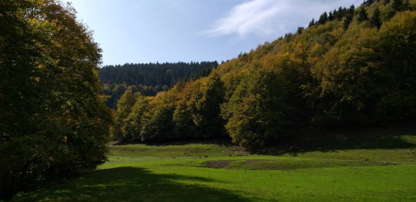 Schleusegrund