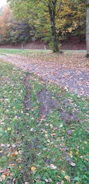 _20191020_172929_Schlamm.jpg (490.52 KiB) 6357 mal betrachtet ich wollte wieder auf den Weg