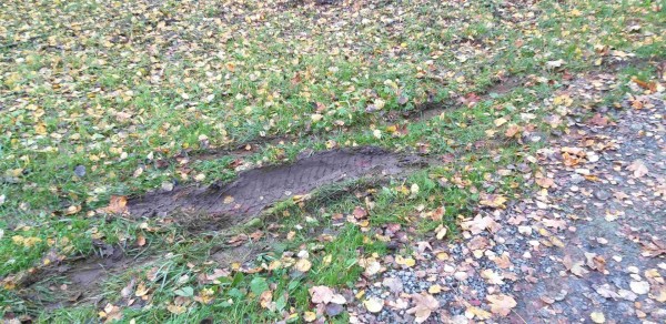 _20191020_173046_Schlamm.jpg (477.01 KiB) 6718 mal betrachtet tiefe Kuhle gewühlt