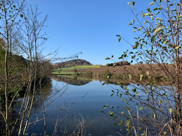 95224366-F77C-430D-8B14-B10B62AF6E99.jpeg (905.86 KiB) 3267 mal betrachtet Oberpfalz