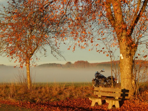Novembermorgen.jpg