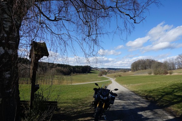 _DSC2733.jpeg
