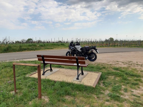 Wachenheim auf dem Heimweg noch ne Pause