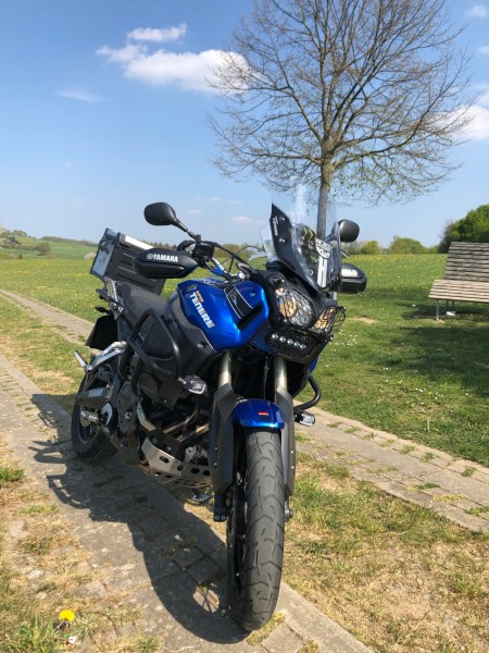 XT vor einer Relaxbank
