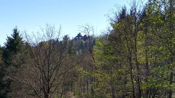 Burg Lichtenfels.jpg