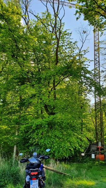 ca. 0,5km weiter an einem unbessestigten Weg im Wald ein seit Jahren stehender Kran. Ich dachte immer es wäre irgendeine geheime Militärbaustelle. Wird hier die Fauna und Flora beobachtet - keine Infotafel
