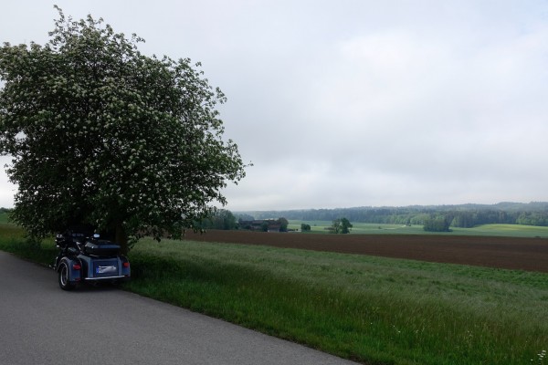 _DSC2757 (1).jpeg