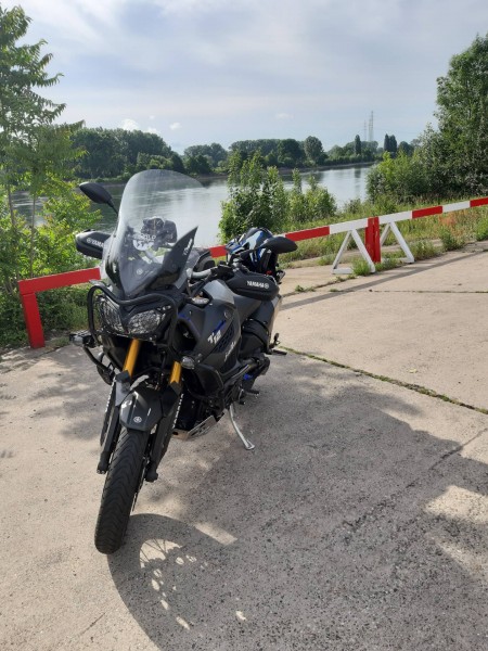 20200607_085424.jpg (483.21 KiB) 2197 mal betrachtet Natorampe Worms