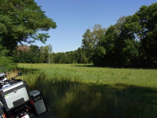 kleine frühstückspause im grünen...