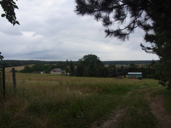 ländliche idylle bei luckau...