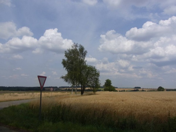 rochlitzer land, die heimat ist nicht mehr weit...