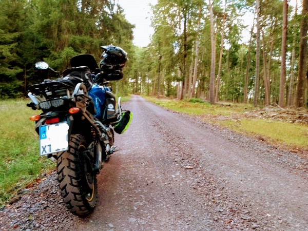 IMG_20200818_112241220~2.jpg (481.32 KiB) 1658 mal betrachtet Waldweg im Elmsteiner Tal