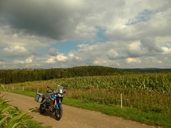 Septemberherbst 6.jpg