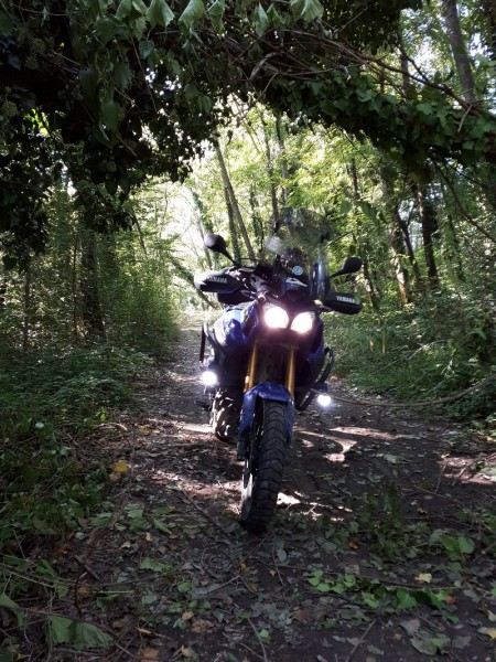 2020_09_05_Hawk_LED.jpg (334.23 KiB) 4447 mal betrachtet 09/2020 - Friaul/Julisch-Venetien