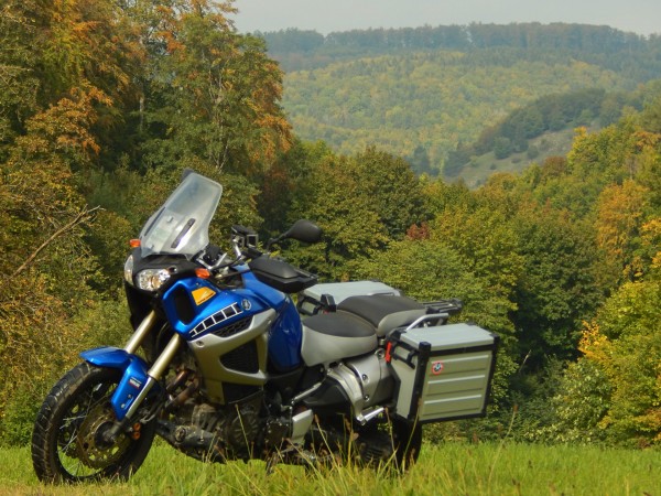 Septemberwald..jpg