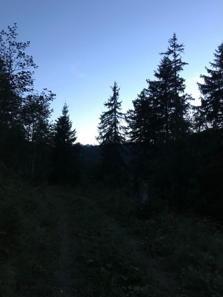 C7C70BA7-35D0-4EED-AFB4-4DF6073A3316.jpeg (646.28 KiB) 2543 mal betrachtet im Hintergrund brünstige Hirschen