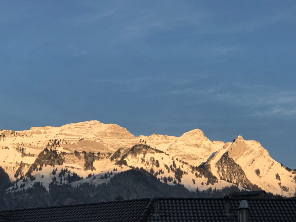 6315D985-41EA-42C5-AC85-5AF247244E4D.jpeg (570.96 KiB) 2678 mal betrachtet Pilatus