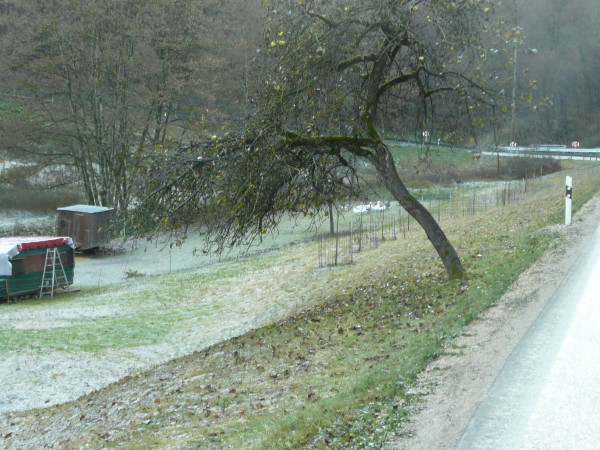 201126-Gosbach-2.JPG