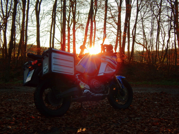 Novembersonne.jpg