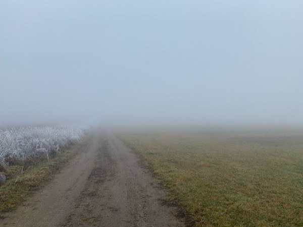 D9C3F7D5-E41B-4250-A83D-F56B94FC3C79.jpeg (543.46 KiB) 3213 mal betrachtet Sichtweite