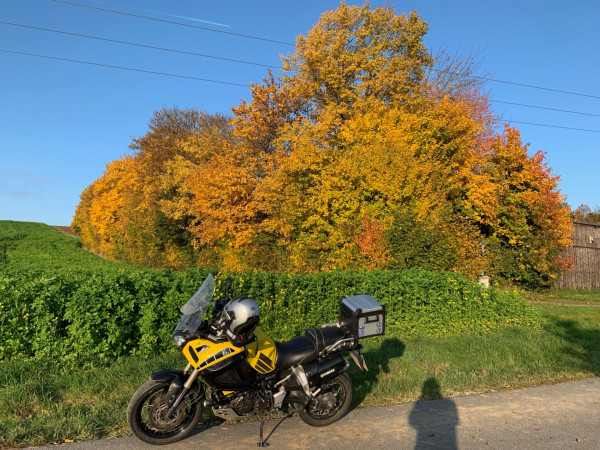 IMG_3452.jpeg (1.45 MiB) 3675 mal betrachtet Ursprungsbild