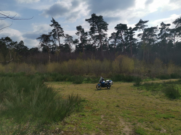 Artgerechte Haltung im Wald