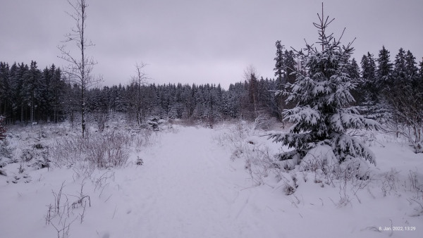 Hochheide, Niedersfeld