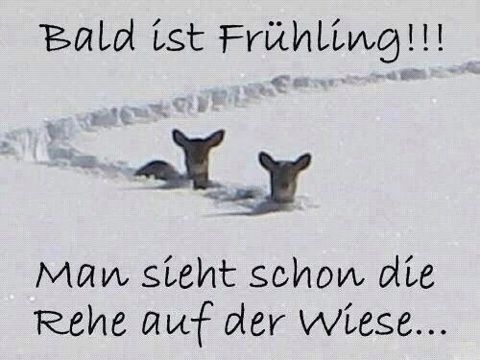 ist bald Frühling.jpg