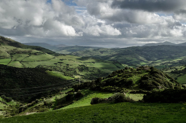 RAW-entwickelt.jpg (254.49 KiB) 2624 mal betrachtet ...und so sieht das entwickelte RAW aus.