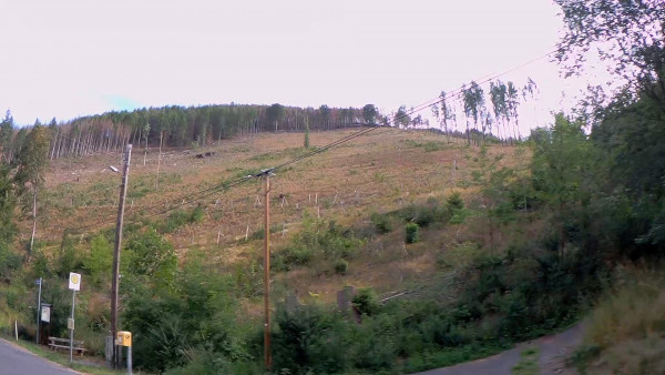 Thüringer-Wald-1.jpg