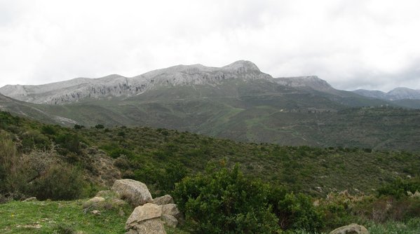 Monte Albo