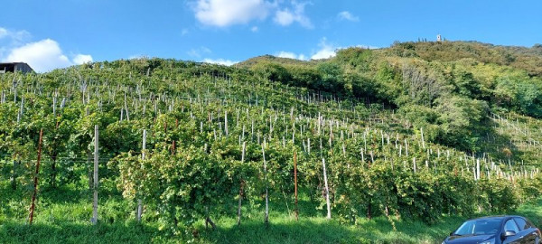 Valdobbiadene.jpg (140.1 KiB) 584 mal betrachtet ... so vui schee... ;-)