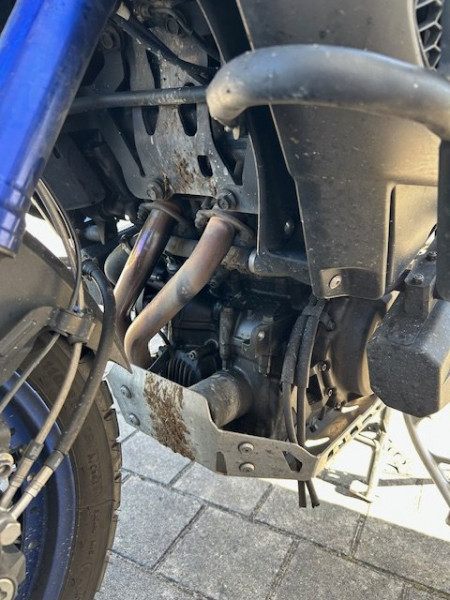 IMG_9277.jpg (152.17 KiB) 2374 mal betrachtet Mit Kuhscheiße