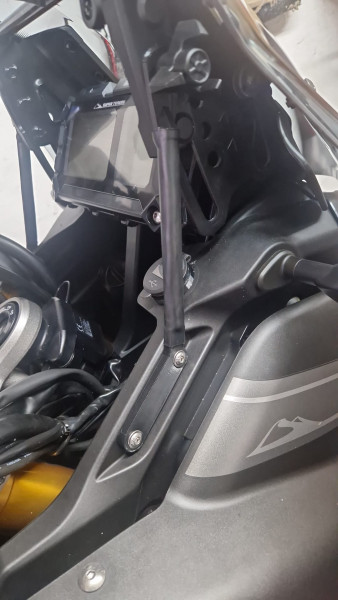 Rechts im Profil.jpg