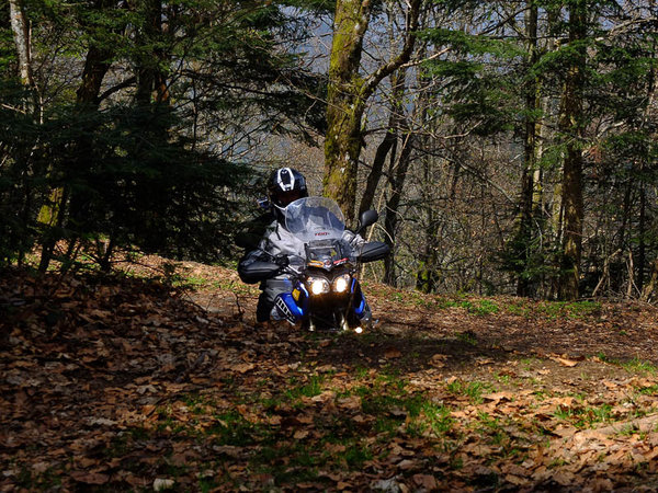 Es geht auch off road