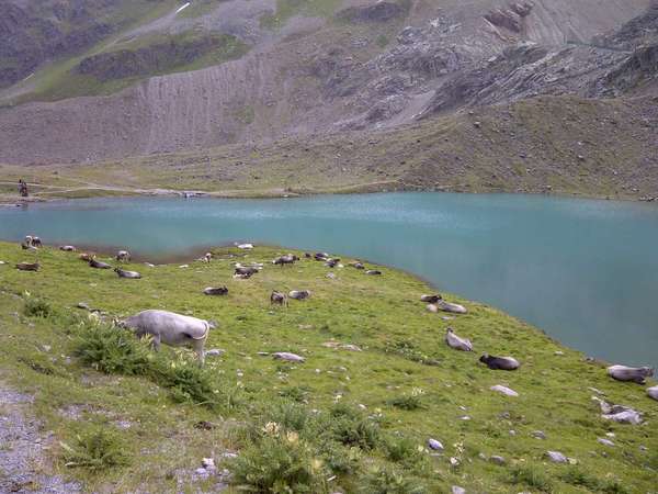 Kaunertal-20130804-00618.jpg