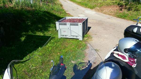 Die Kiste habe ich leider nicht mehr untergebracht