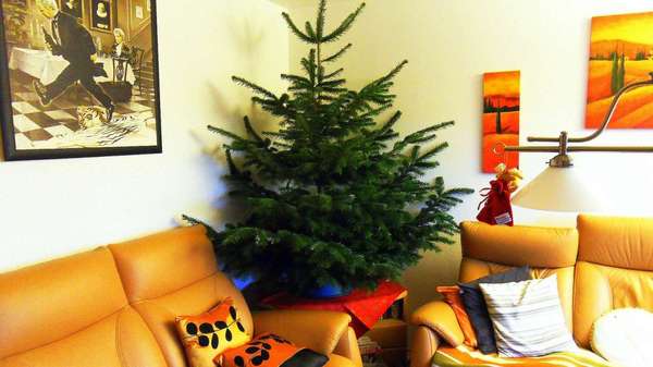 Hoffentlich frierts ihn nicht.