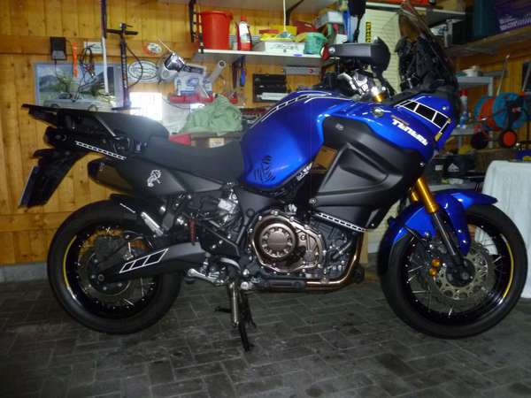 xt gelb 005.JPG