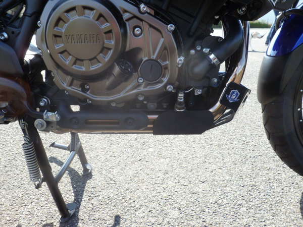 Xt Motorplatte 015.JPG