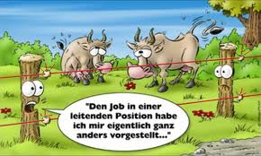 Schade Dübel
