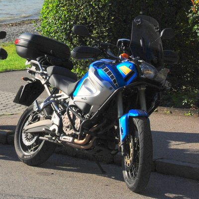 Ingos XT12