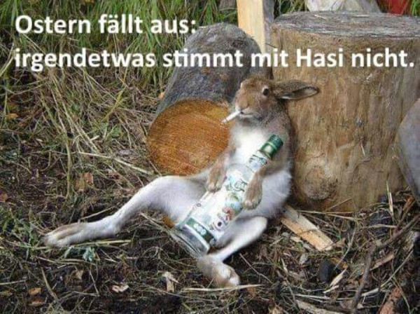 Frohe Ostern.jpg (370.8 KiB) 3658 mal betrachtet Euch Allen ein FROHES OSTERFEST<br />und endlich BESSERES Wetter!!!!