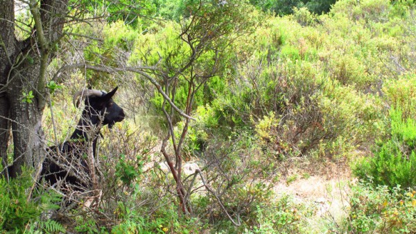 Achtung hinter jeder Kurve!