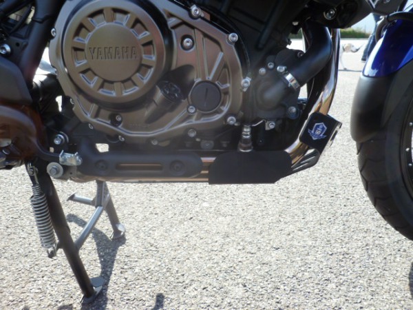 Xt Motorplatte 015.JPG