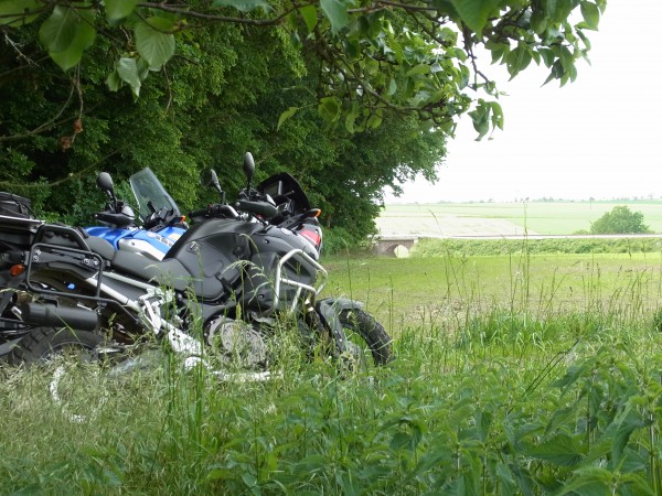 RIMG1057.JPG